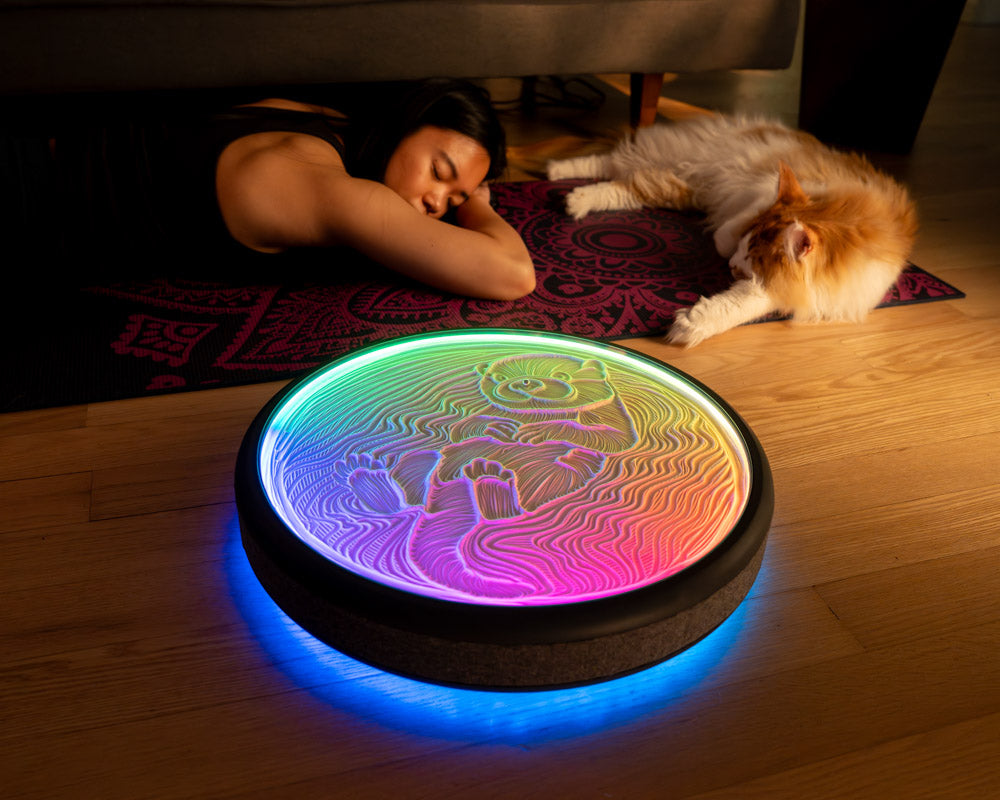 Oasis Aura (Pre-Order Ships December 2026)