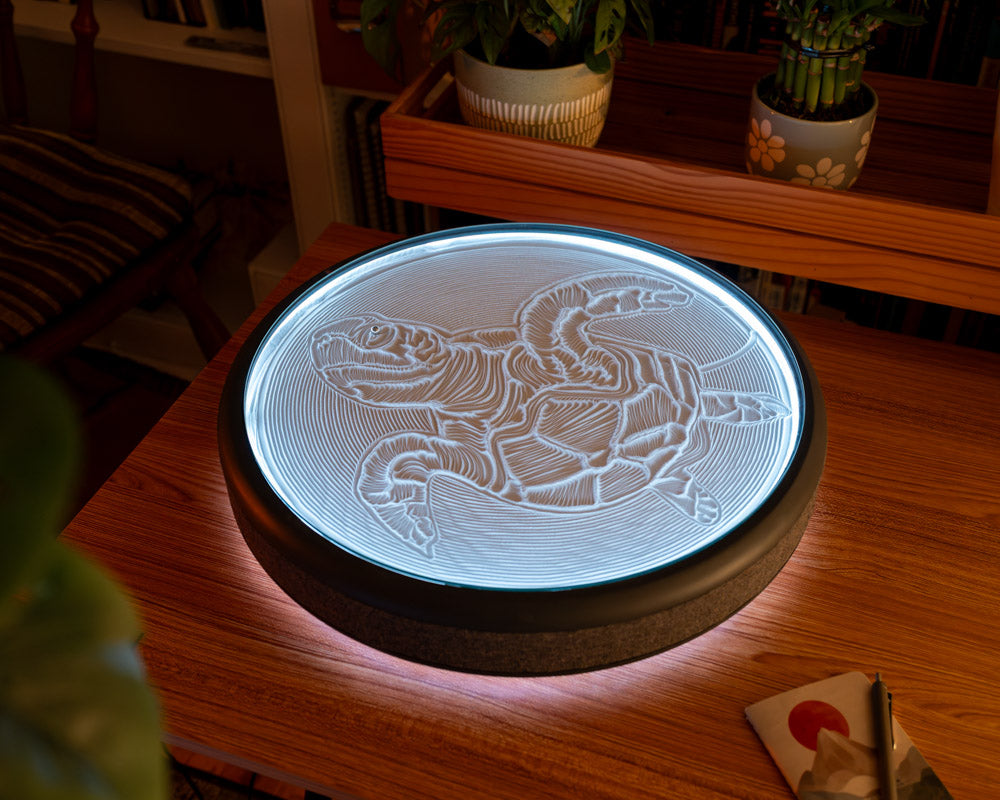 Oasis Aura (Pre-Order Ships December 2026)