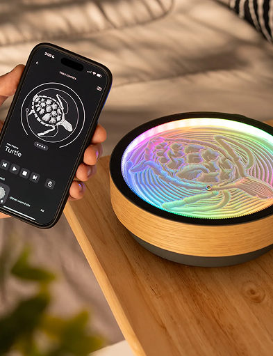 Calm Landing – Oasis